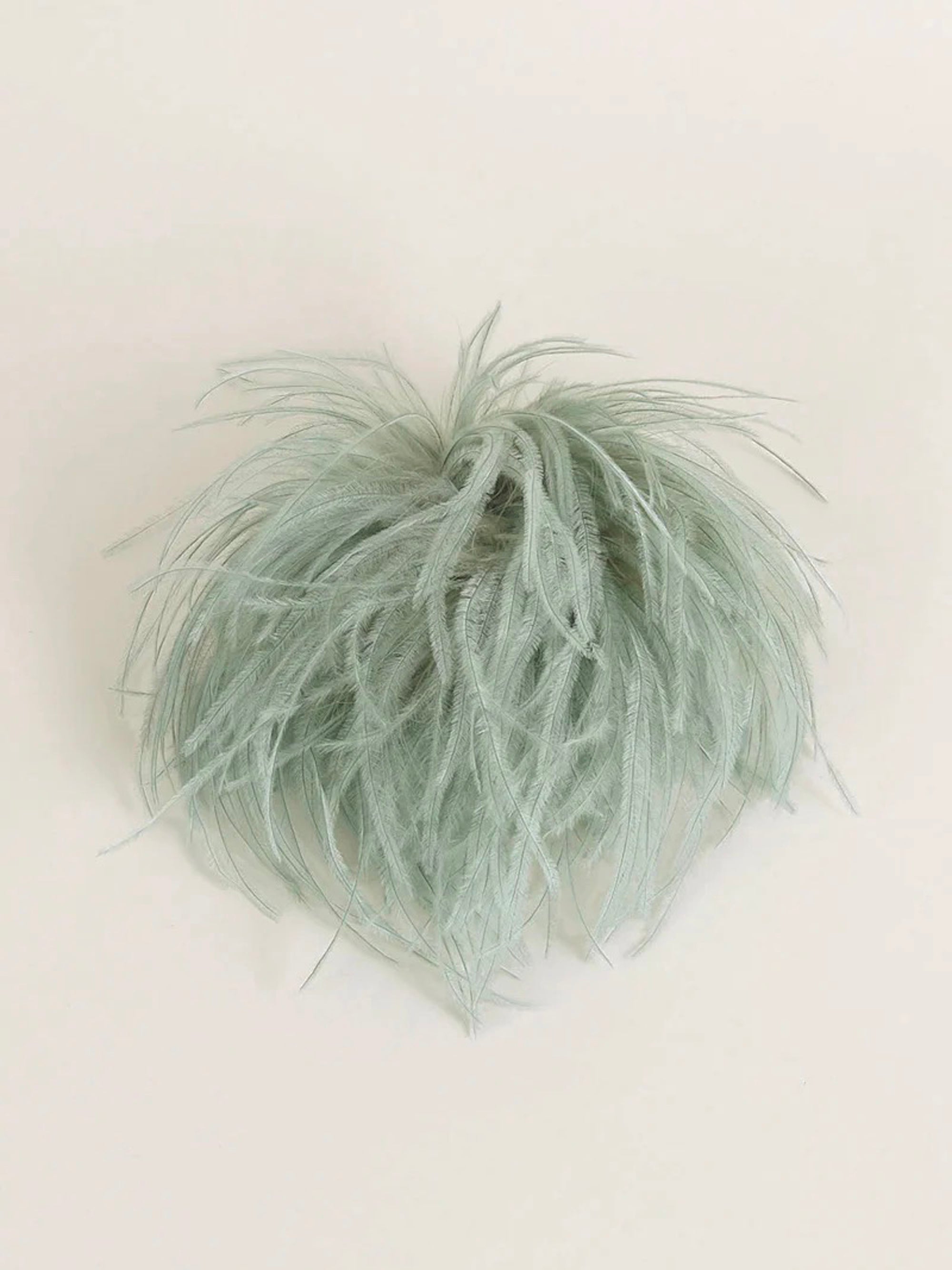 Ostrich feather brooch
