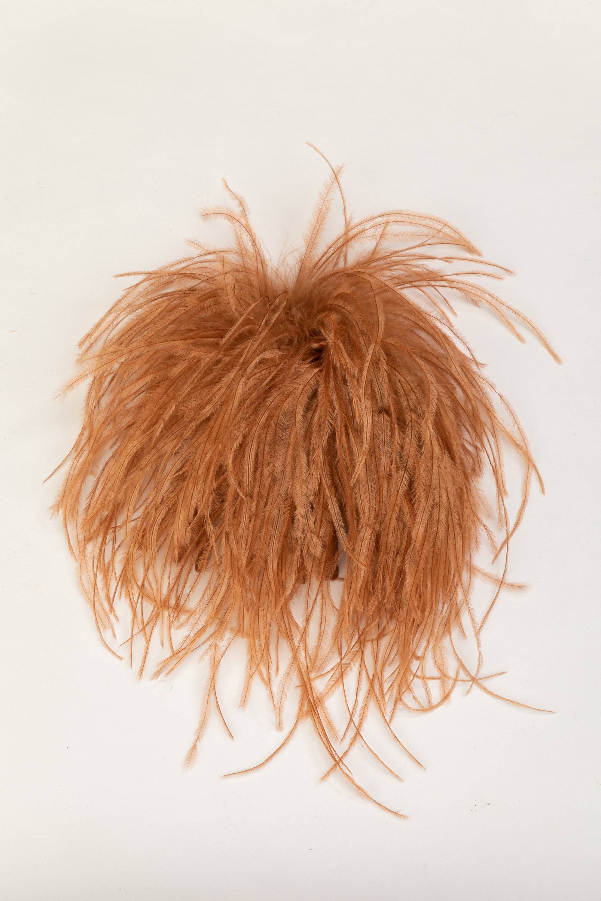 Broches en plumes