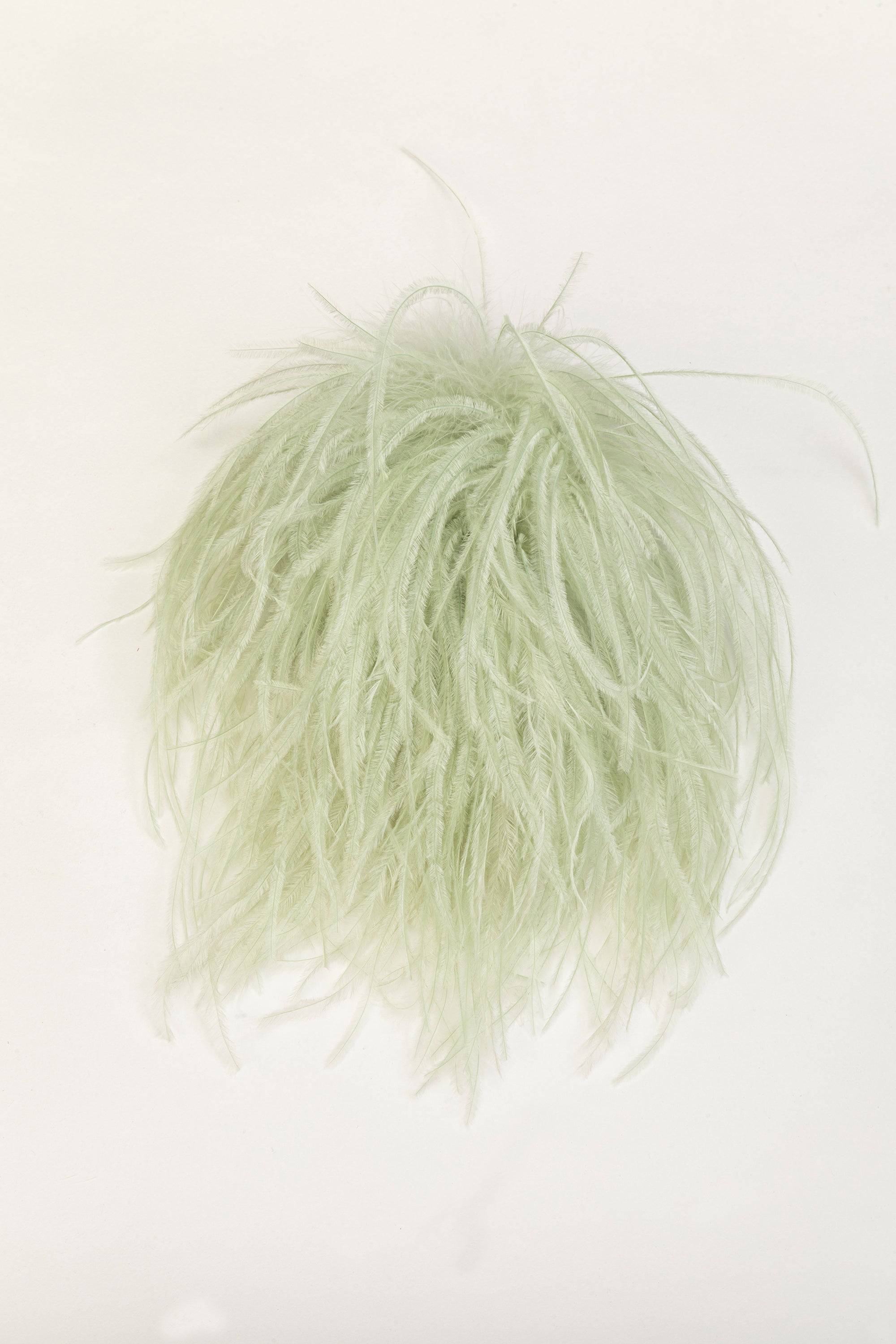 【INDRESS/インドレス】 Ostrich Feather Brooch Ostrich feather brooch - Tilleul
