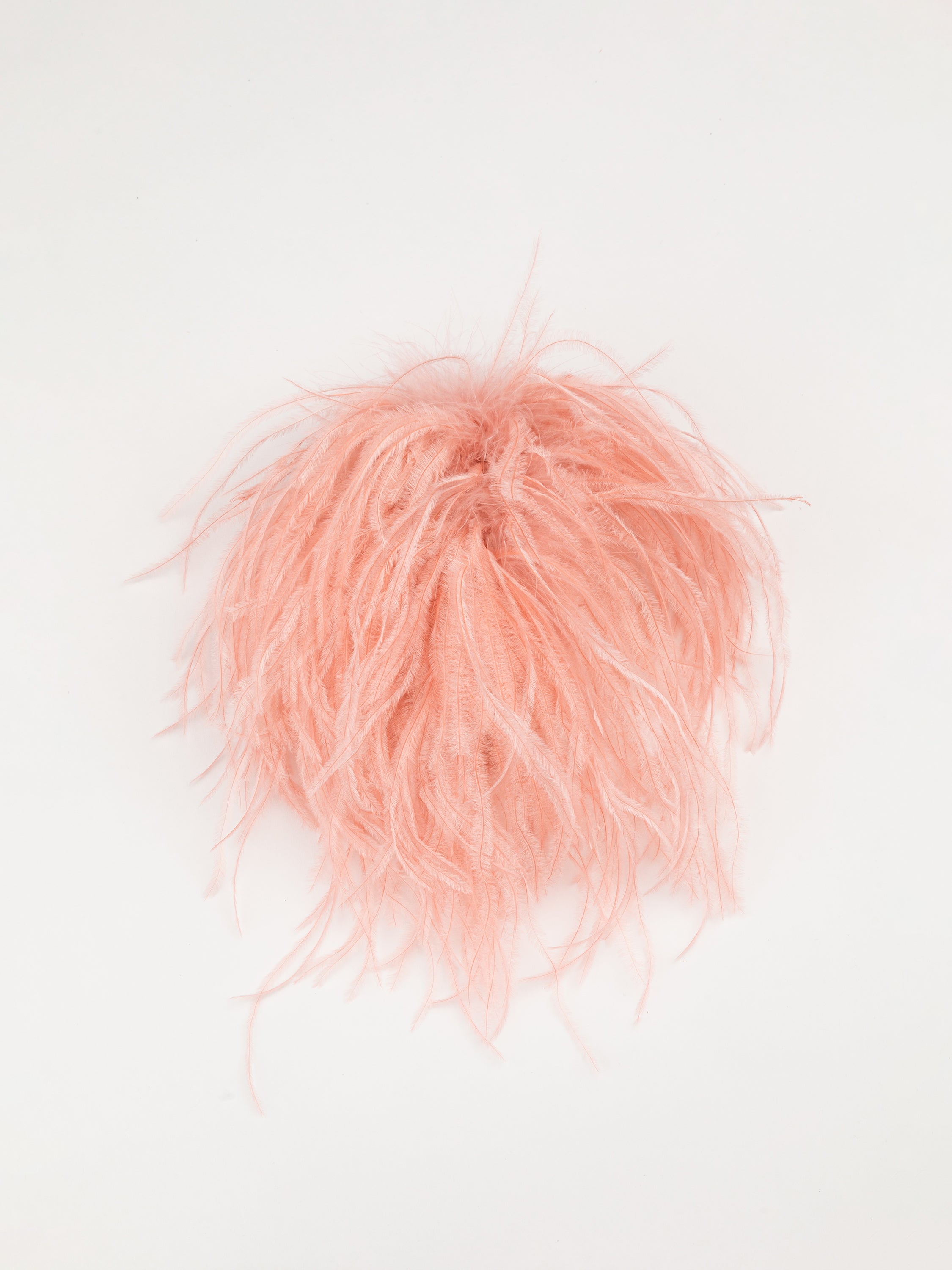 Broches en plumes