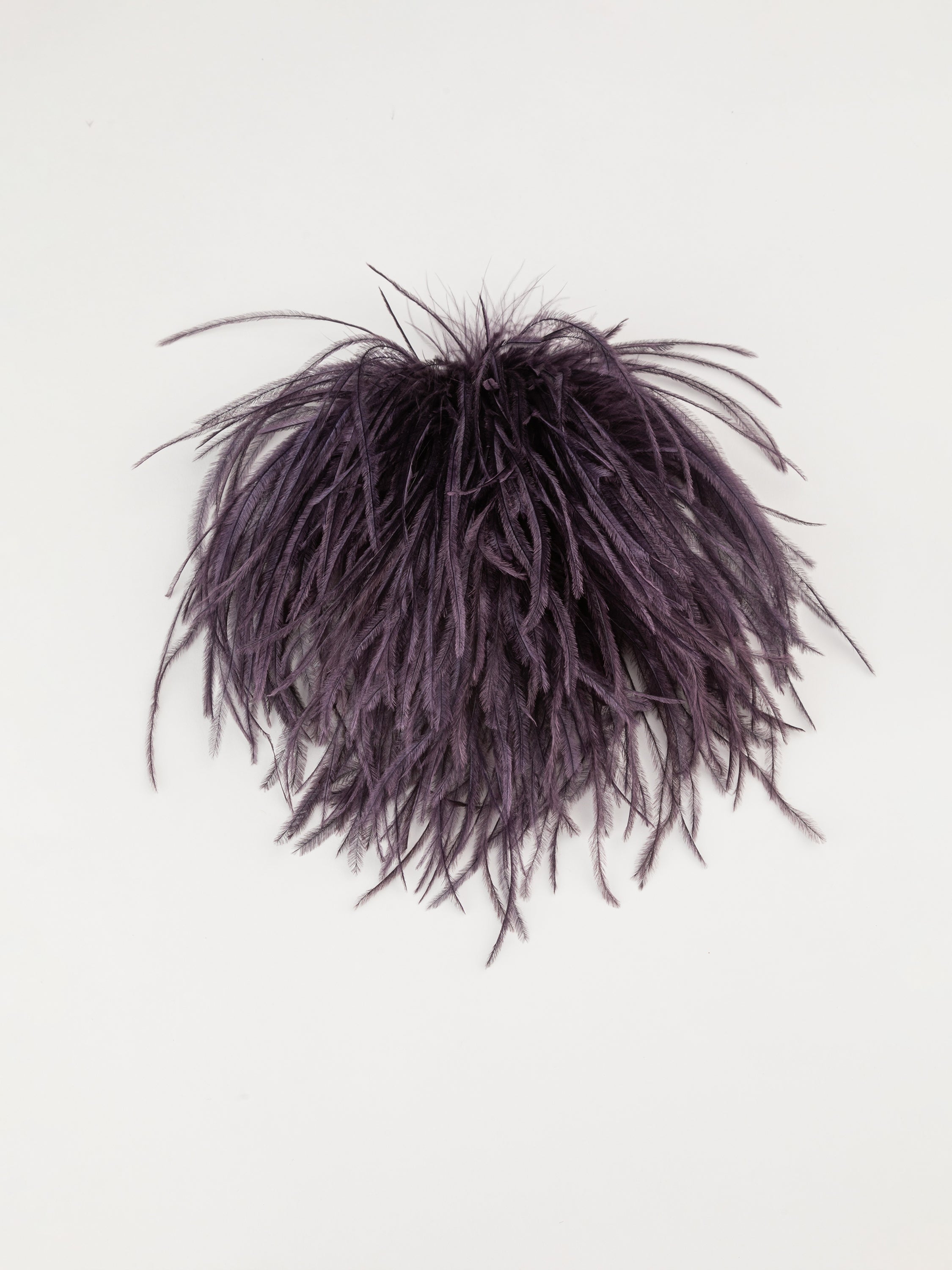 Broches en plumes