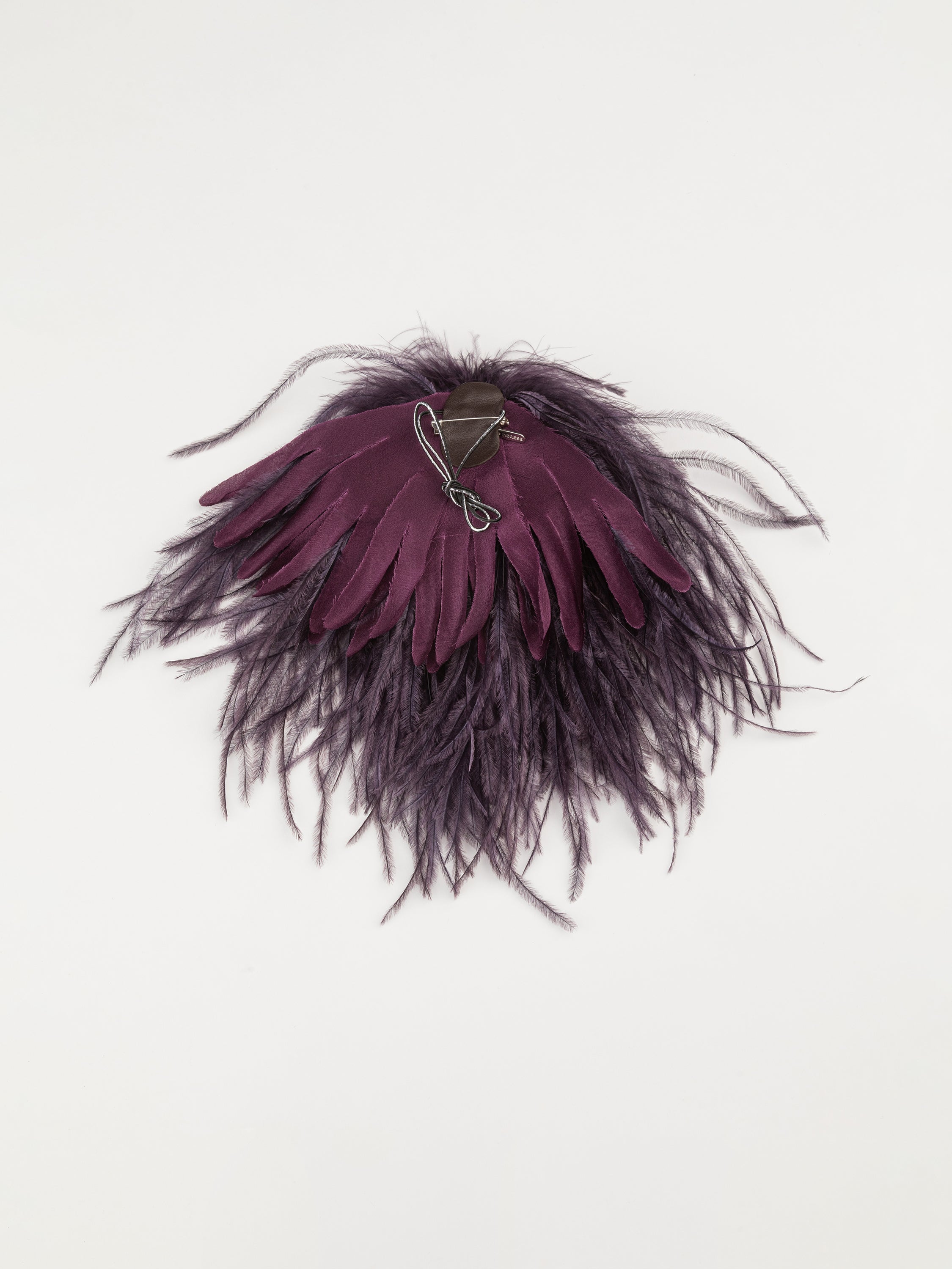 Broches en plumes