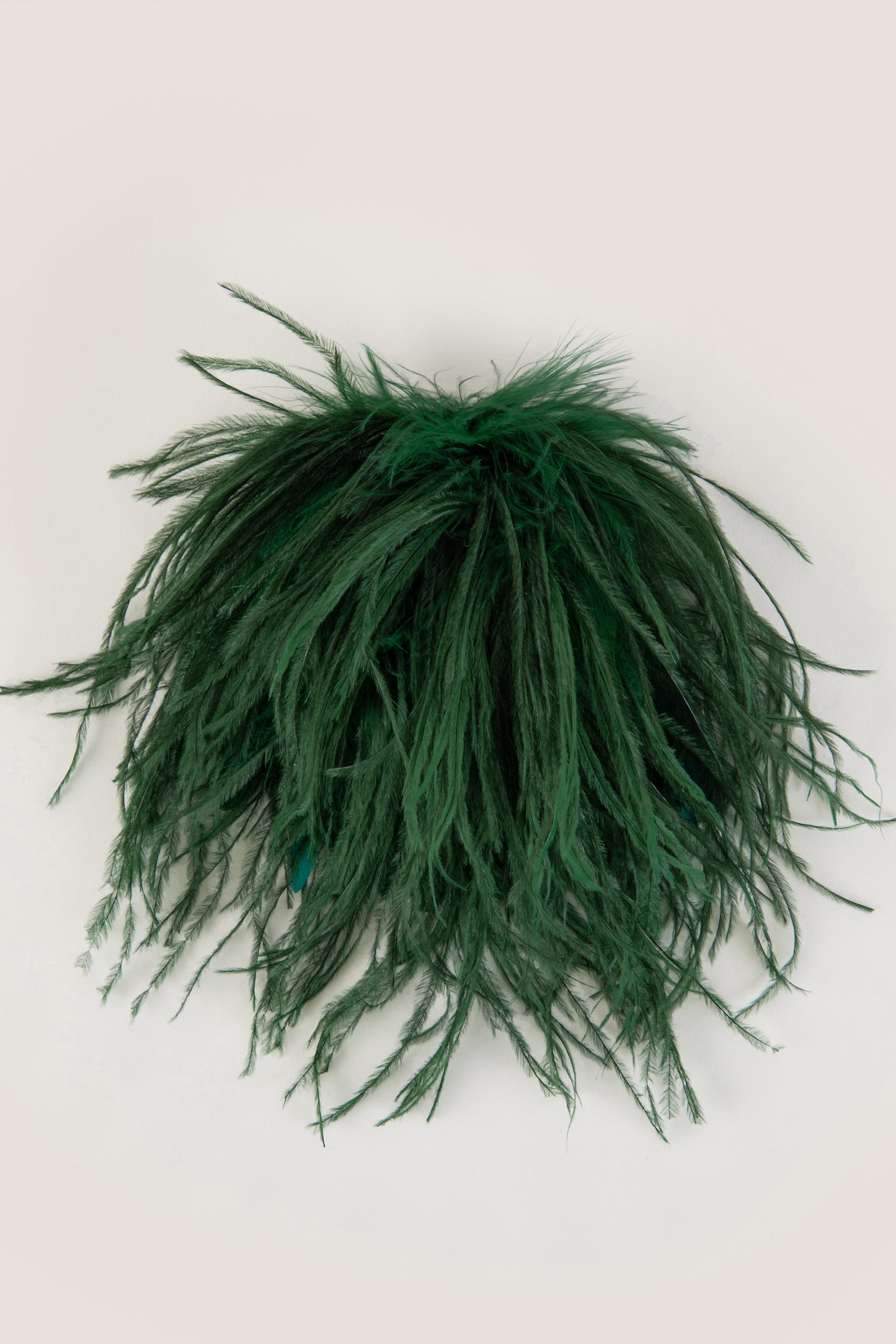 Broches en plumes