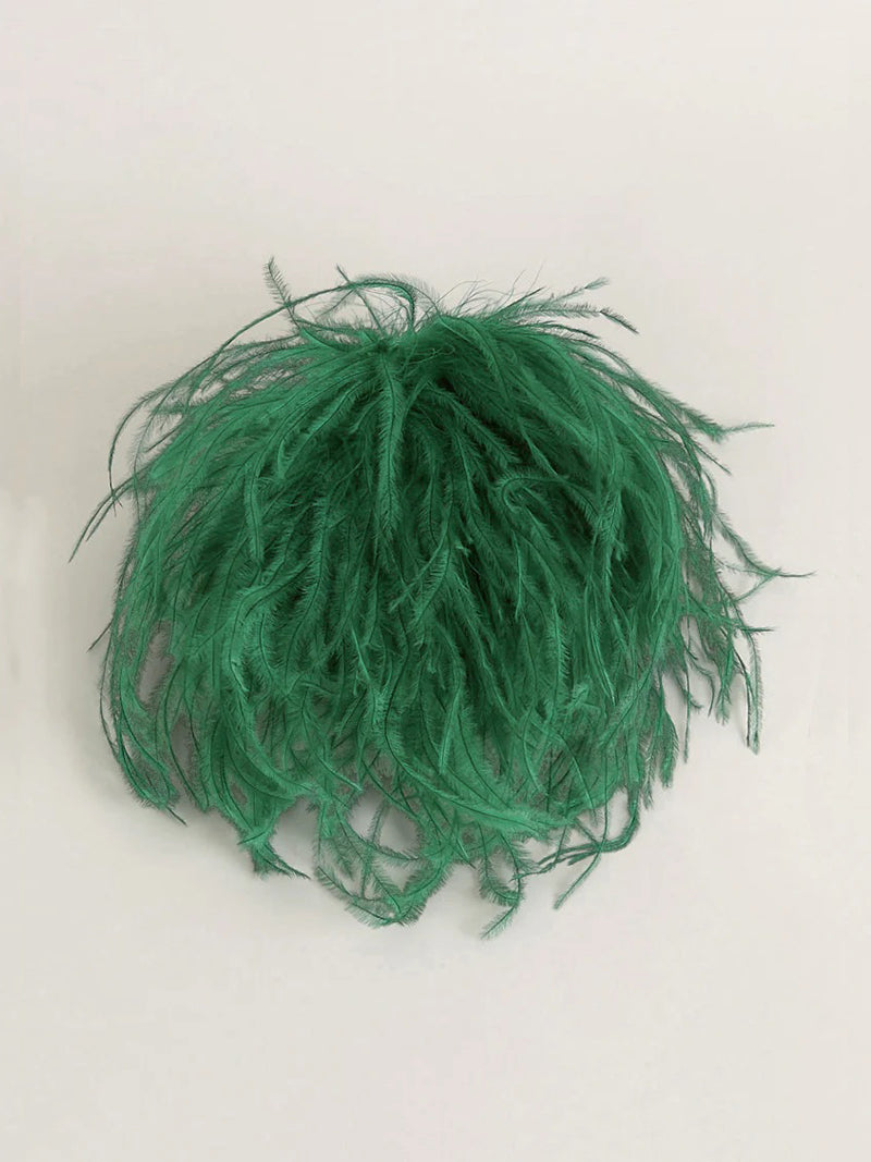 Broches en plumes