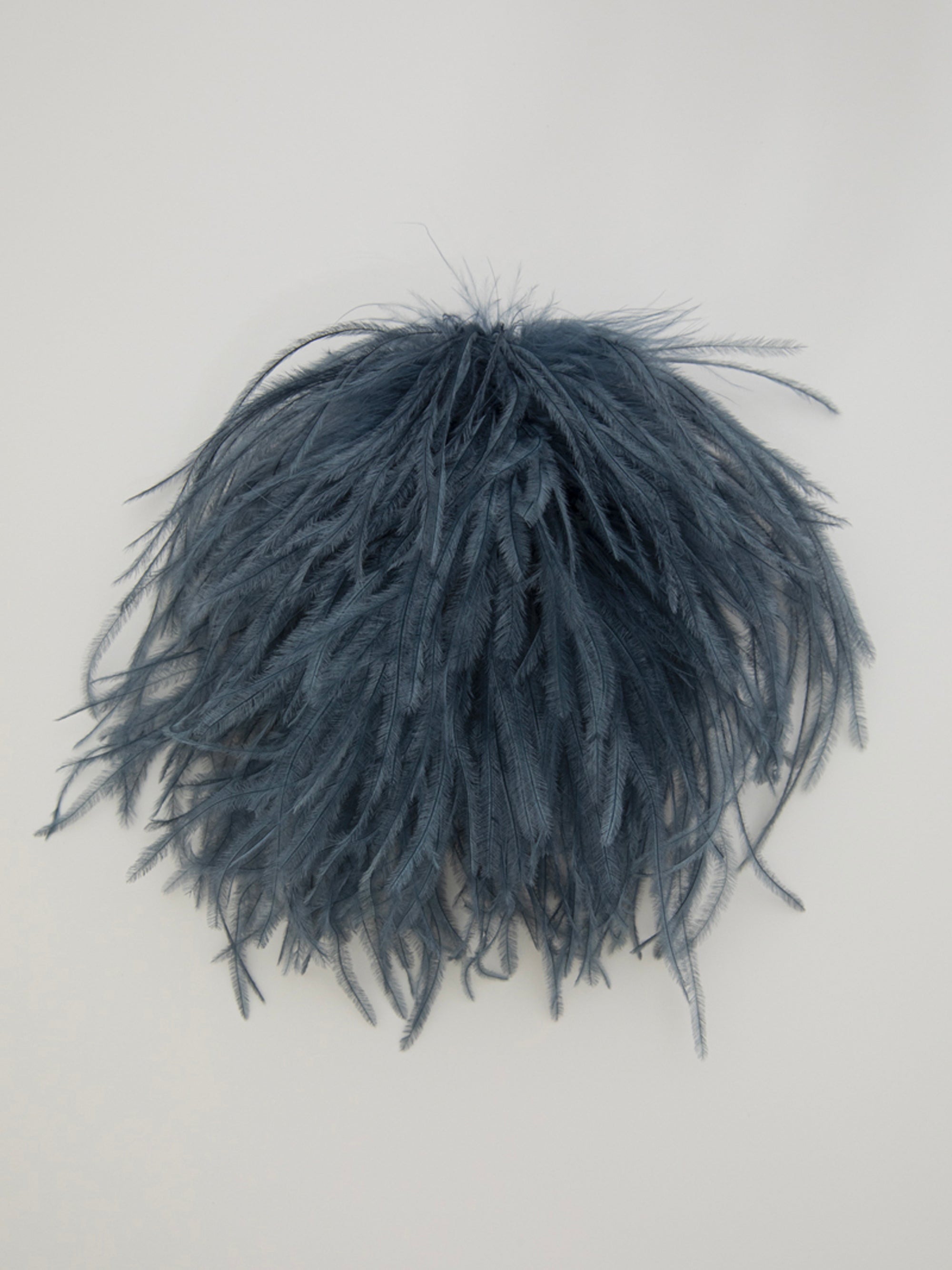 Broches en plumes