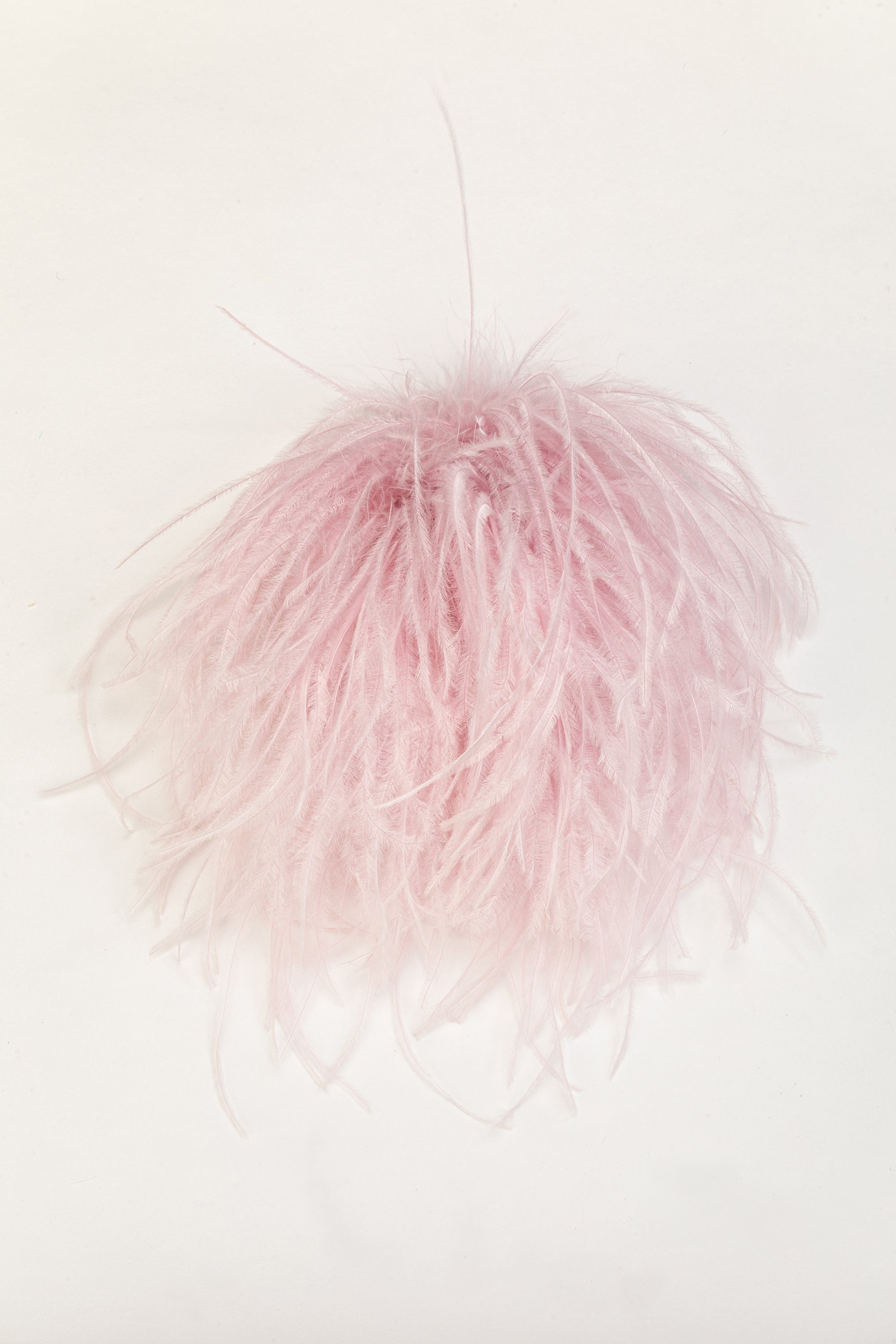 Broches en plumes